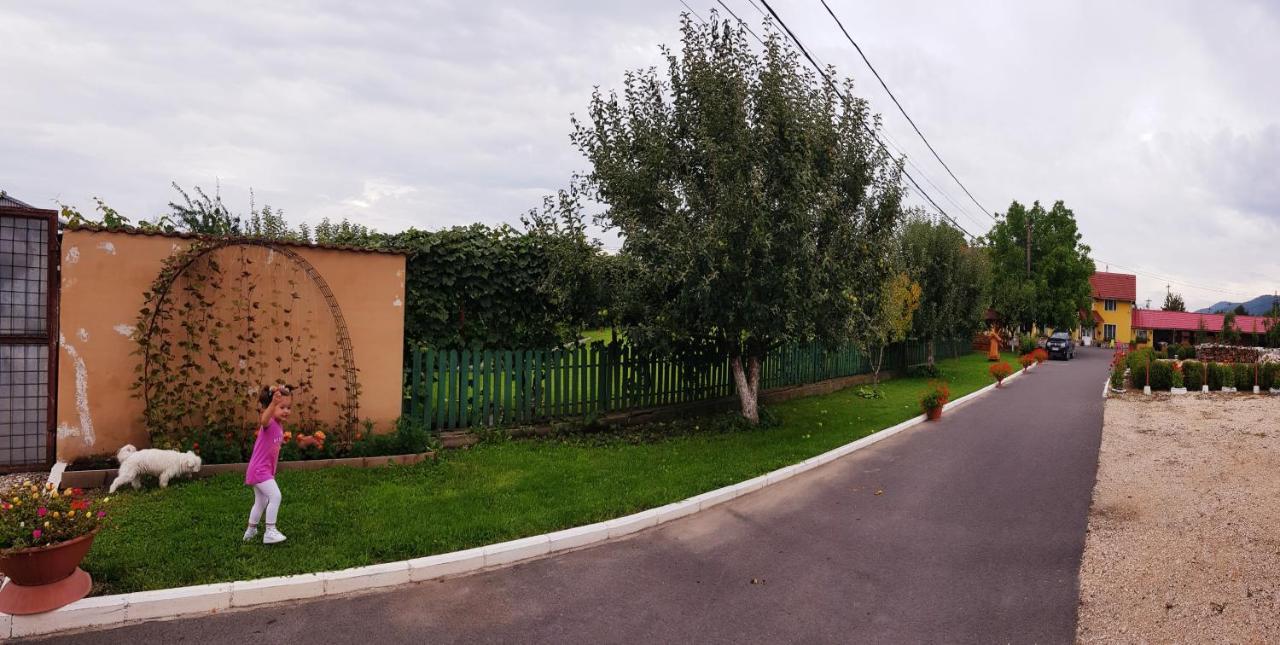 Cazare La Troita Hotel Codlea Bagian luar foto